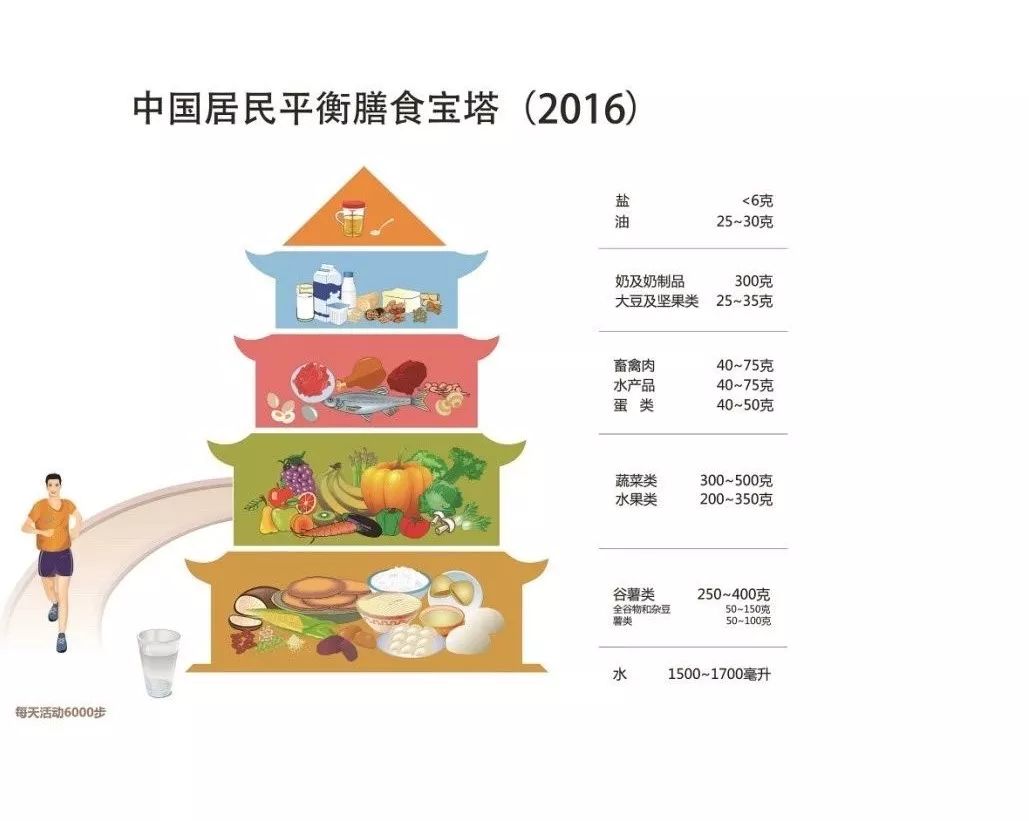 营养学碳水篇,营养学蛋白质脂肪碳水化合物