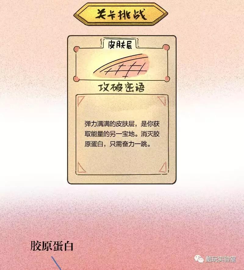 吃太多的糖会让你变胖,让你变丑变老的不是脂肪而是糖