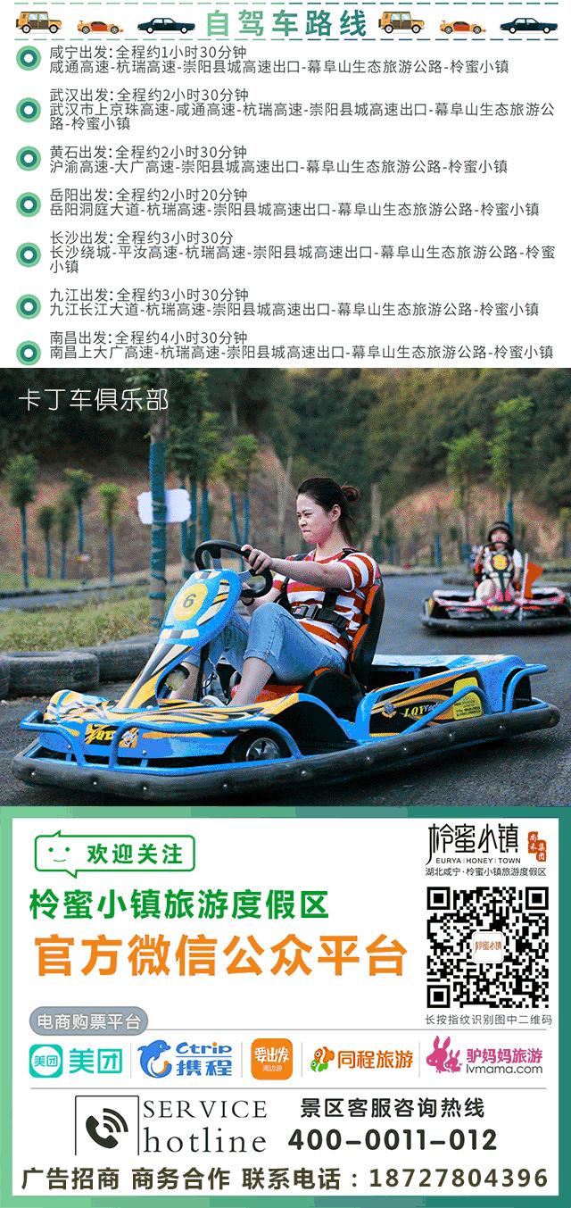 崇阳柃蜜小镇电音节,崇阳县柃蜜小镇最新新闻