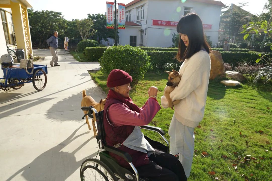 一些像土拨鼠一样的小故事