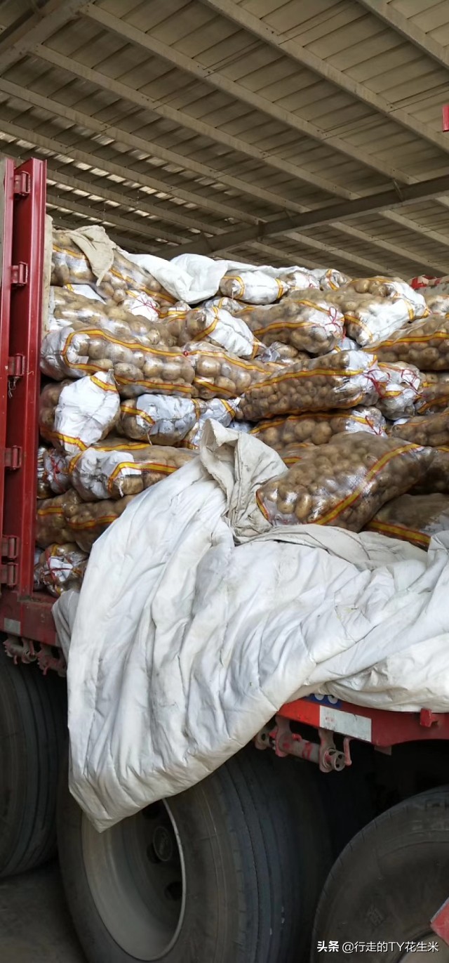 郑州万邦市场8月份蔬菜批发价格 (河南郑州万邦国际市场水果批发价)