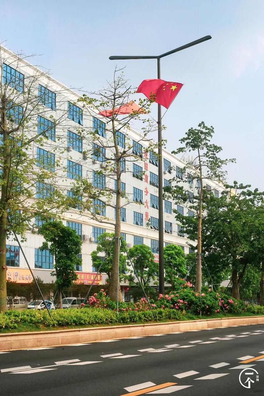 遍地华为男，深圳坂田有多绝？