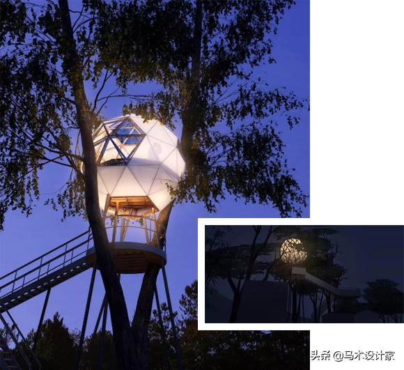 森迪部落树屋酒店,浙江树屋酒店