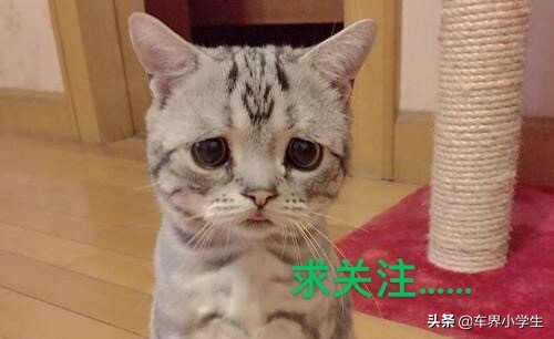 雷克萨斯nxx3,19款新款雷克萨斯nx300配置参数