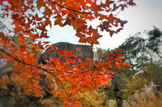 湖州周日游玩攻略推荐,湖州出游推荐