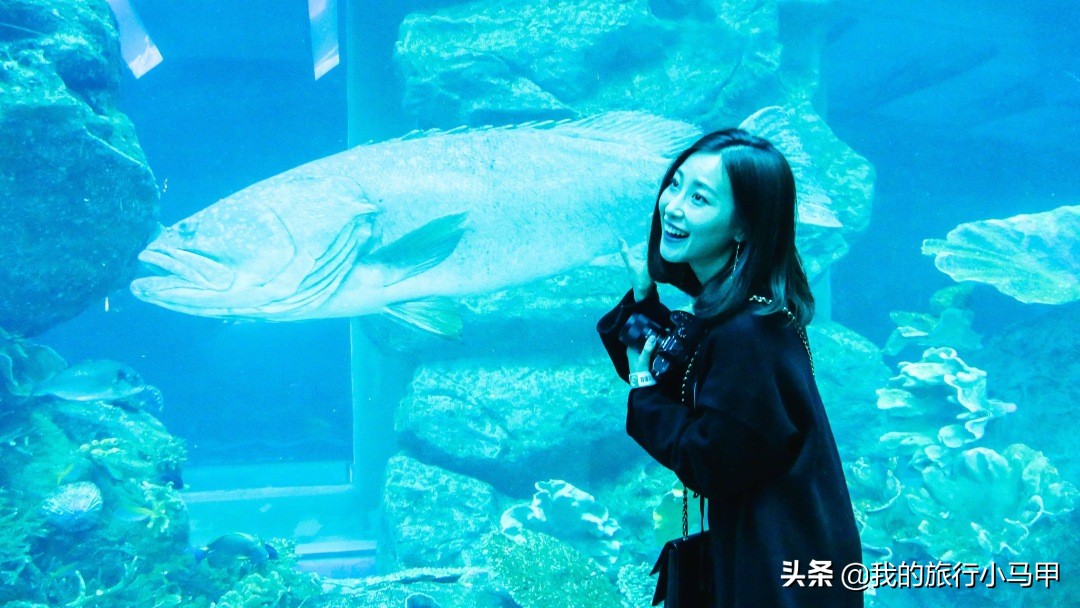 迪拜游玩攻略,去迪拜游玩最省钱的攻略