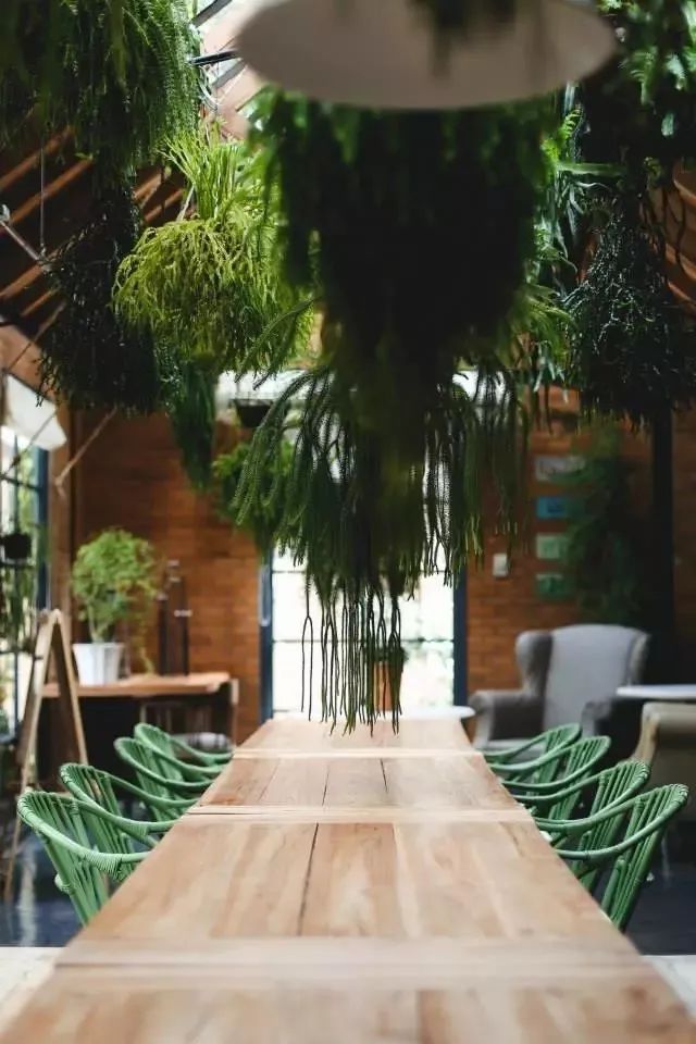 成都ins风花店,ins上六家花店