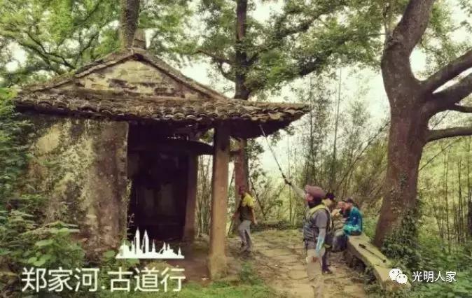 平阳鳌江镇古村落,鳌江市古村视频