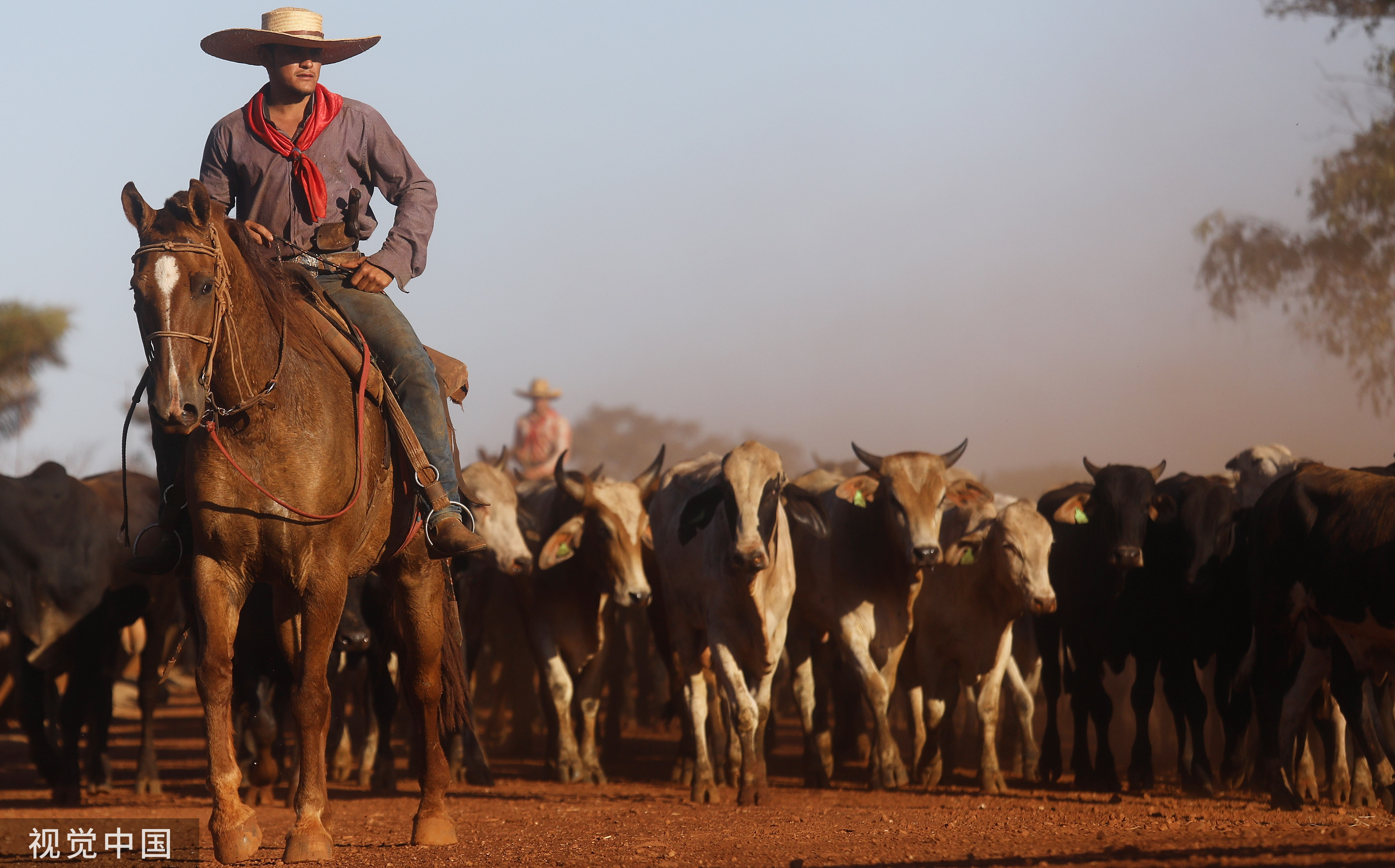火在巴西烧，锅给中国扣，外媒再抹黑：中国进口大豆牛肉为亚马孙“火上浇油”