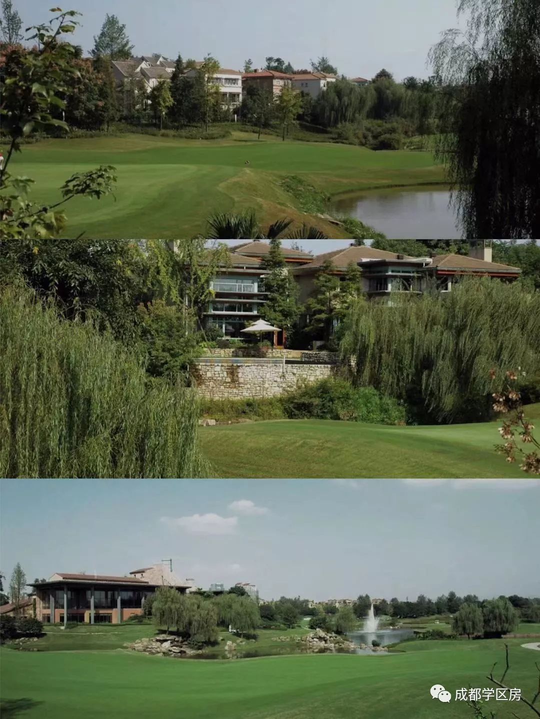 天府新区私立小学招生简章,天府新区第六小学对应初中