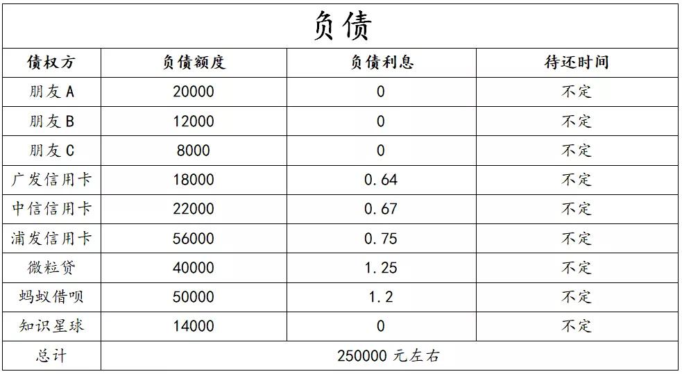 负债25万如何计划还款,负债25万如何一年内还清