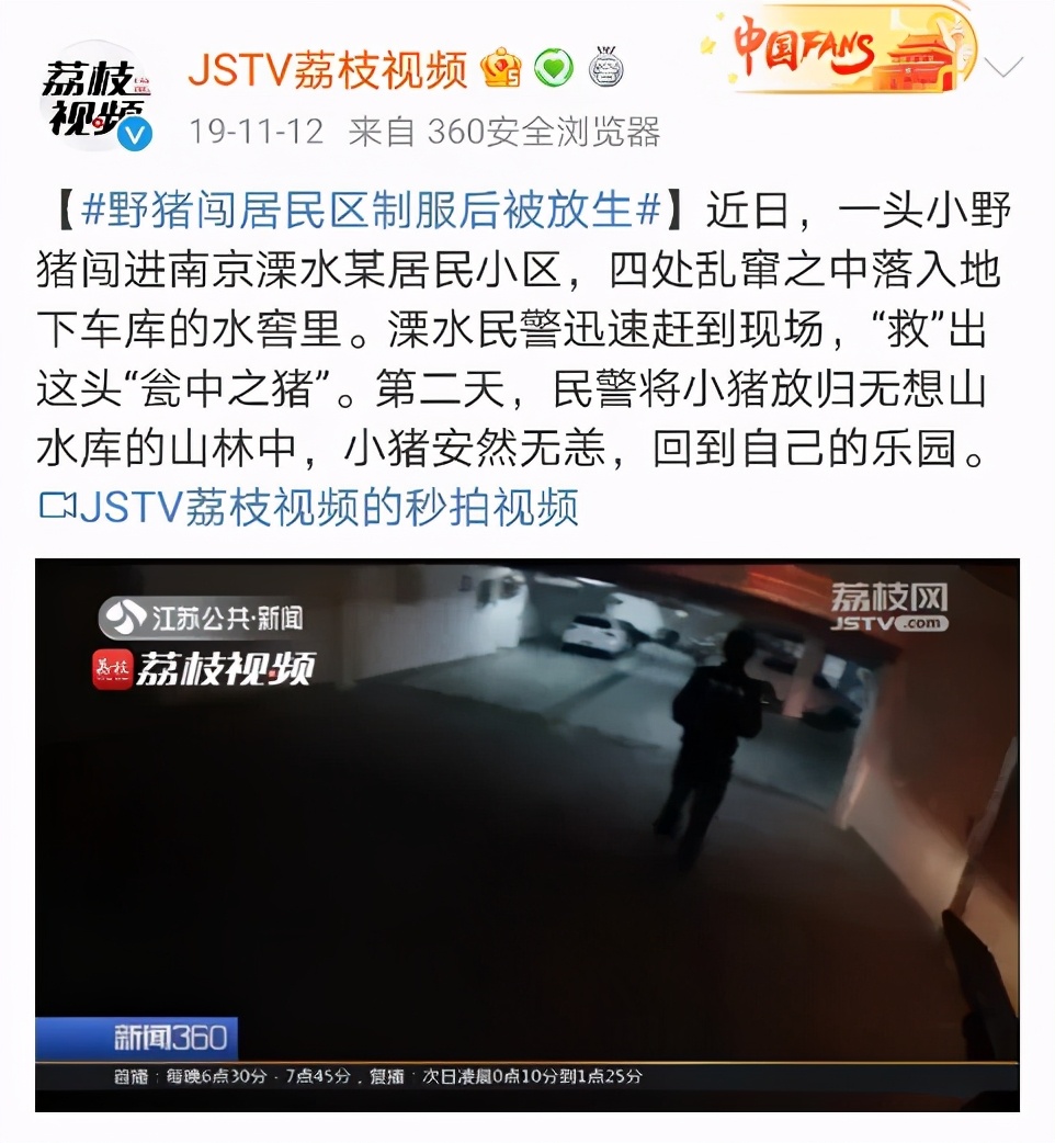 大象迁徙事件始末,大象迁徙为什么又回去了