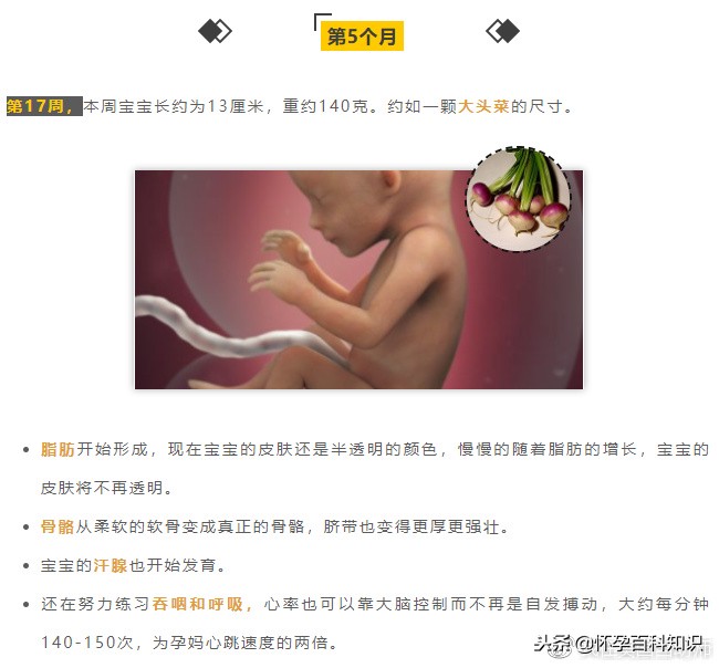 怀孕各个时期胎儿发育过程,怀孕的过程要几天