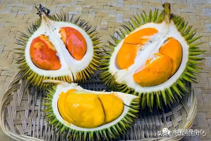 泰国最好的榴莲是什么榴莲,泰国榴莲与越南榴莲