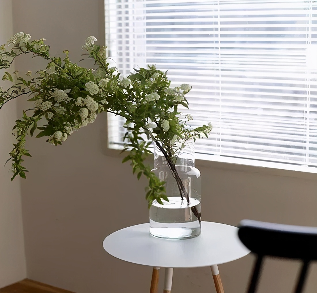 植库‖浪漫清新的小手球，为你带来氧气小森林