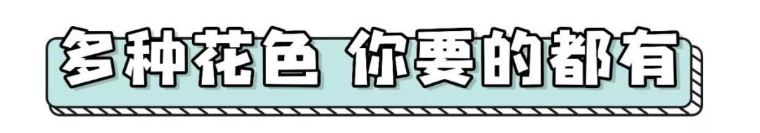 程潇白色珠光绸,程潇的美颜秘诀