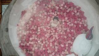 全屋贯穿10米滑梯，天台泡泡屋俯瞰CBD夜景，这个33楼的家够野