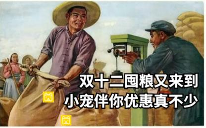 祺鑫养猫实录,穷人养猫实录