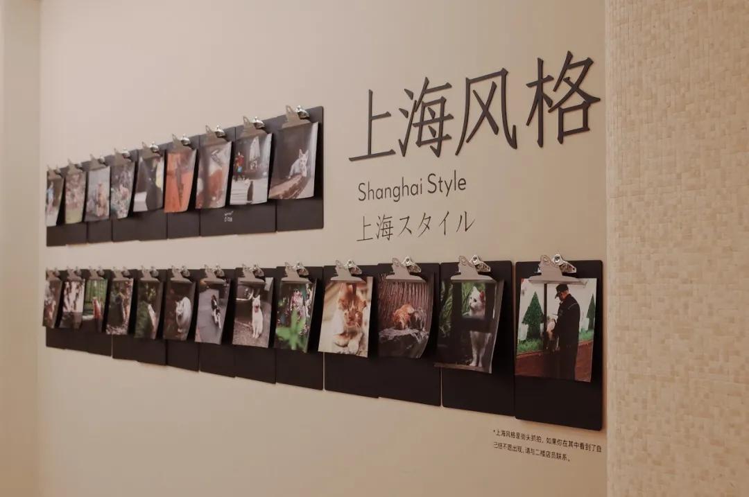 上海二手书哪里有售,上海二手书便宜市场