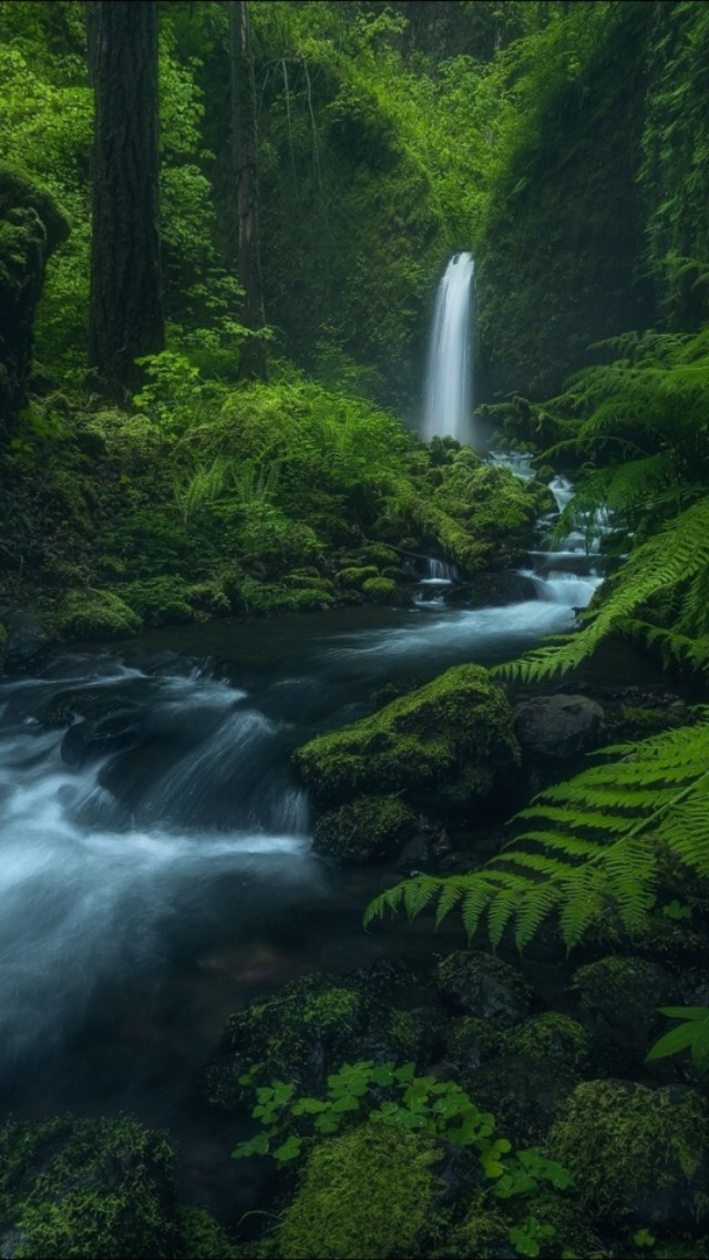 壁纸清新春日,壁纸春日清新