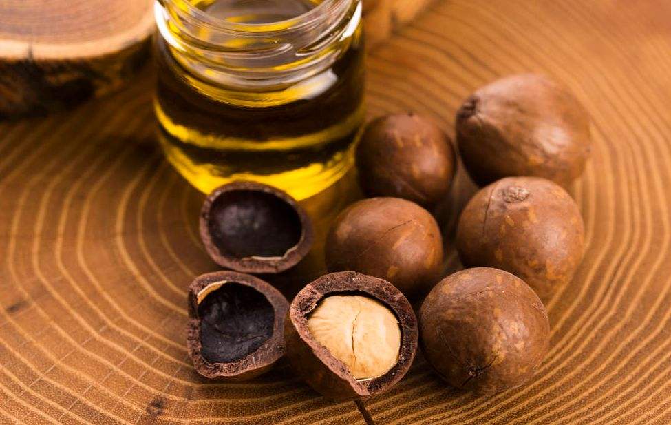 昆士兰坚果油,澳洲坚果油炒菜