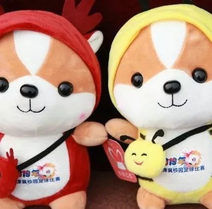 京津冀中小学生足球邀请赛,京津冀校园足球邀请赛