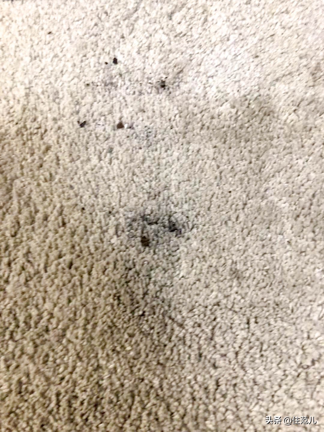 真假戴森的区别,网红戴森是真实用还是真鸡肋