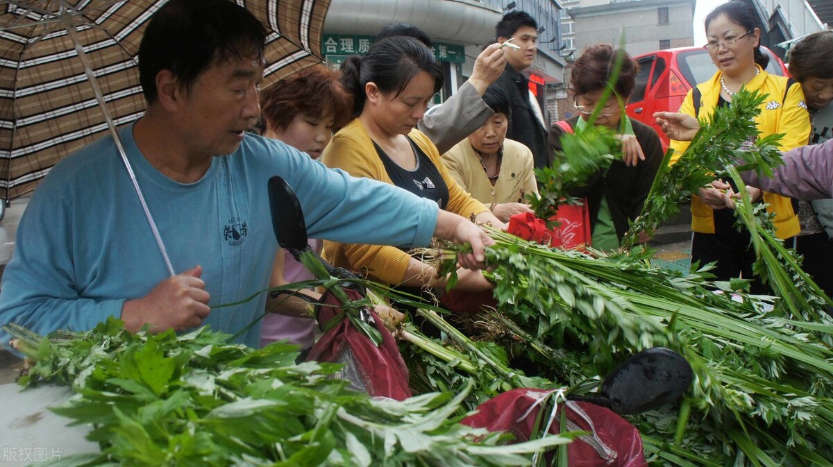 端午节禁忌三不吃,端午习俗60字