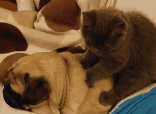 新开户的燃气改动要不要费用,燃气开户可以跨区办理吗