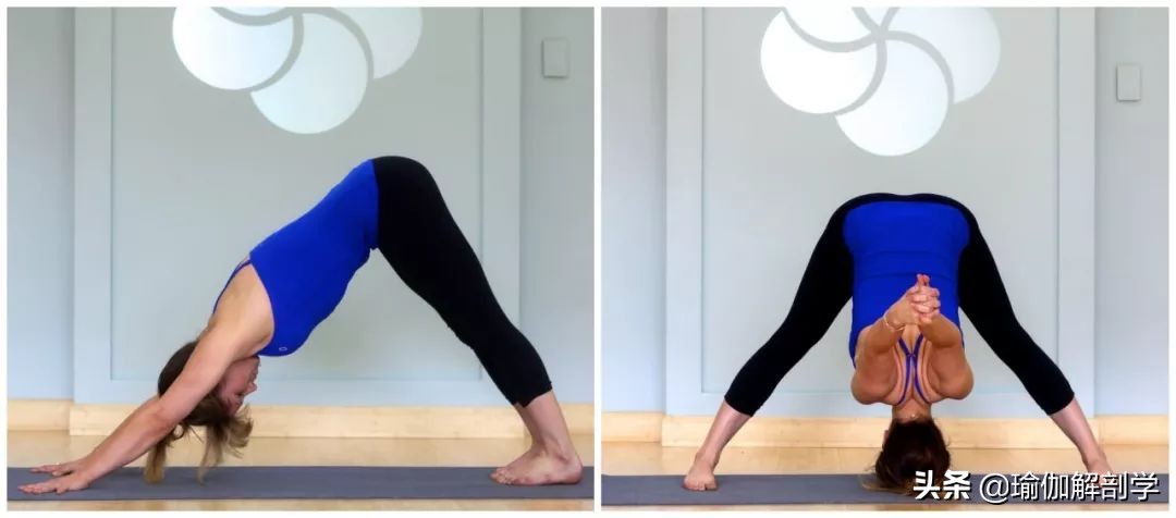 腿部经络疏通做什么瑜伽动作好,腿粗经络不通9个瑜伽动作经常练