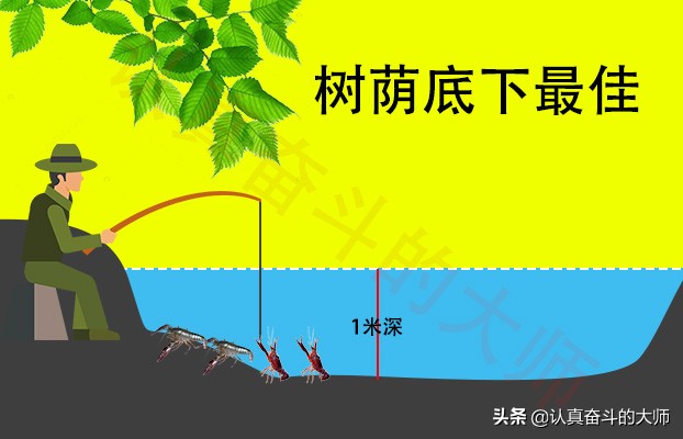 钓小龙虾的方法和技巧,小龙虾的钓法及用法