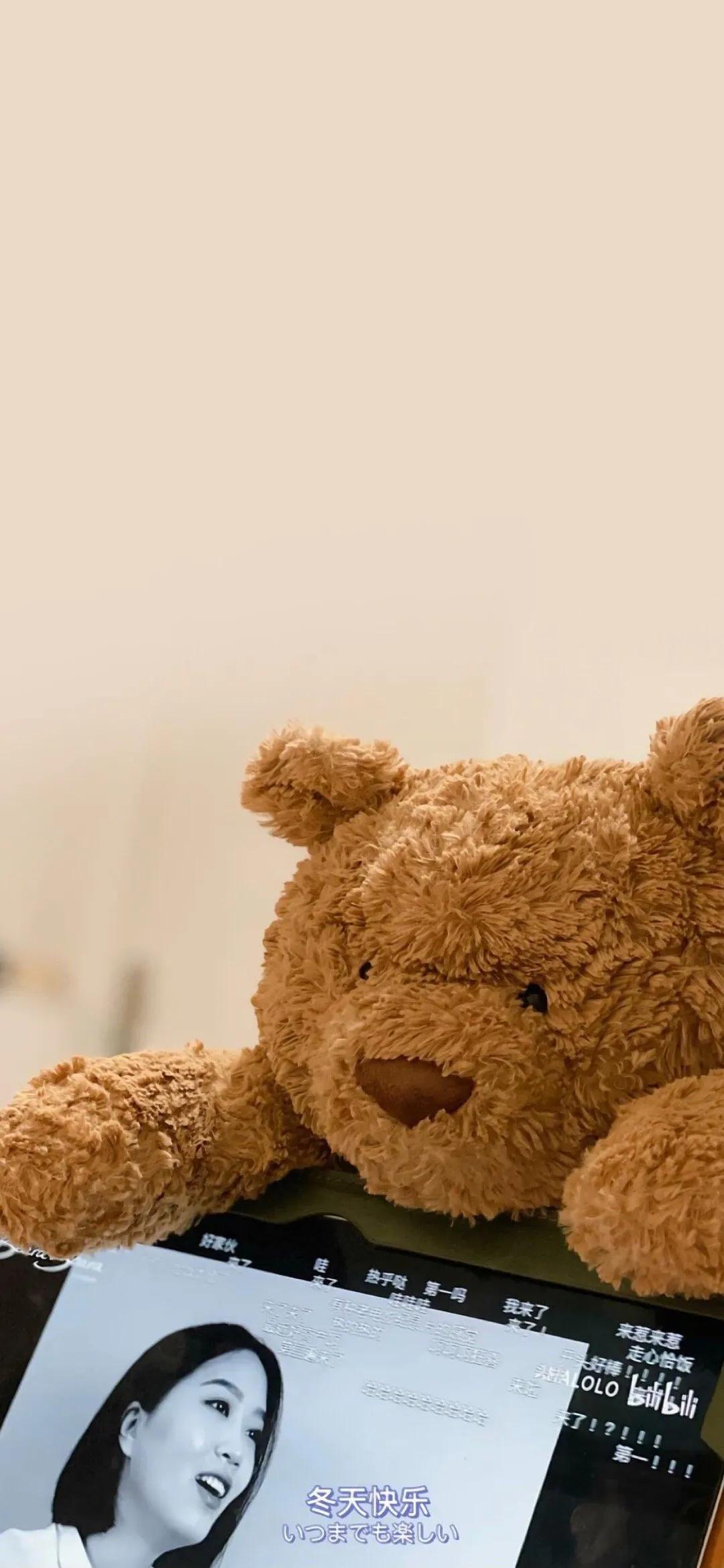 巴塞罗那熊4k壁纸,巴塞罗那熊高清手机壁纸