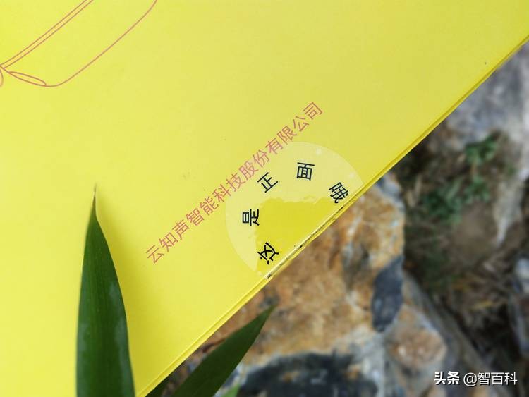 聪聪ai机器人,儿童早教ai机器人测评