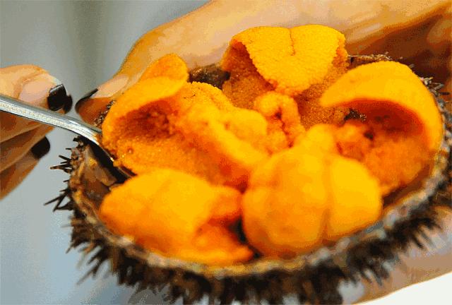 这个夏日25°C的宝藏城市美炸了！海岛、万国建筑、叮叮车..想去