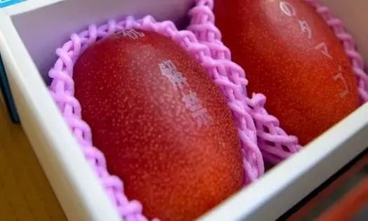 日本人就从来不抱怨苹果太贵