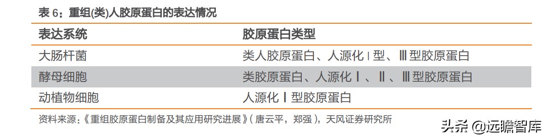 重组胶原蛋白未来趋势,胶原蛋白重组是高端产业吗