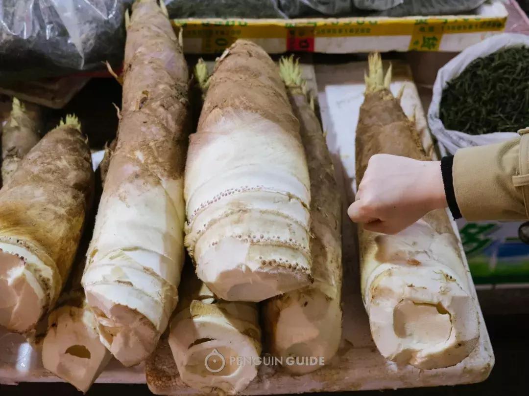 湖州:一座太湖南边的宝藏小城,春笋湖鲜河鱼,嘴巴好忙