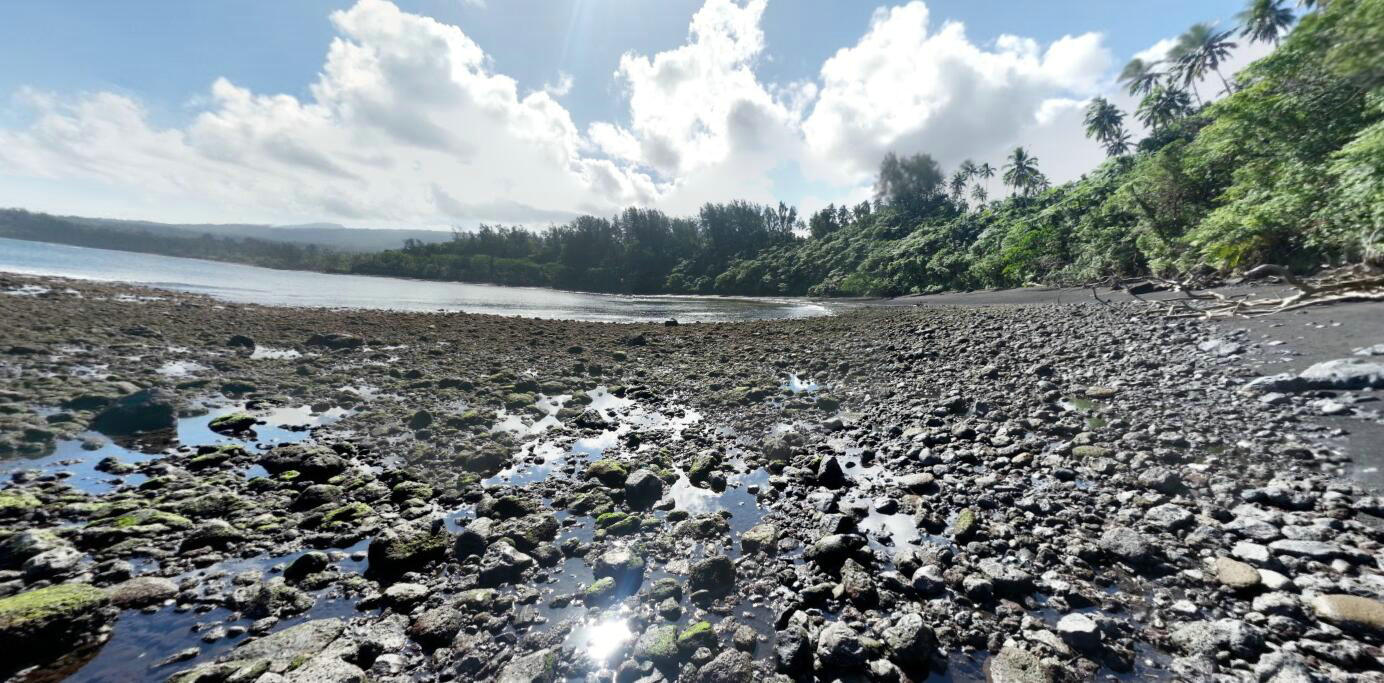 火山岛火山灰岛屿,一个全是巨型生物岛