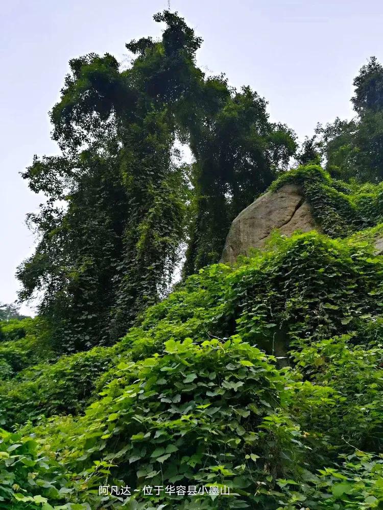 华容山水苑别墅100万,华容秀丽山水风景区