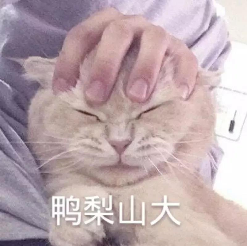 不打针不吃药贴一贴就好,不打针不吃药病就能治好