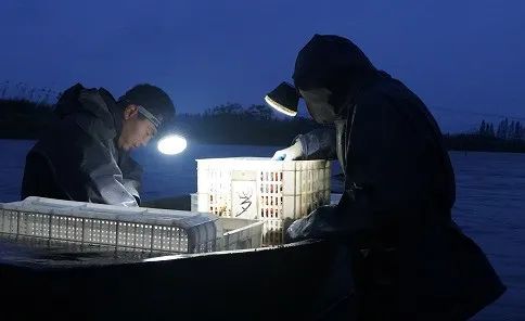 中国经济当前最难的一道题，淘宝给了个解法