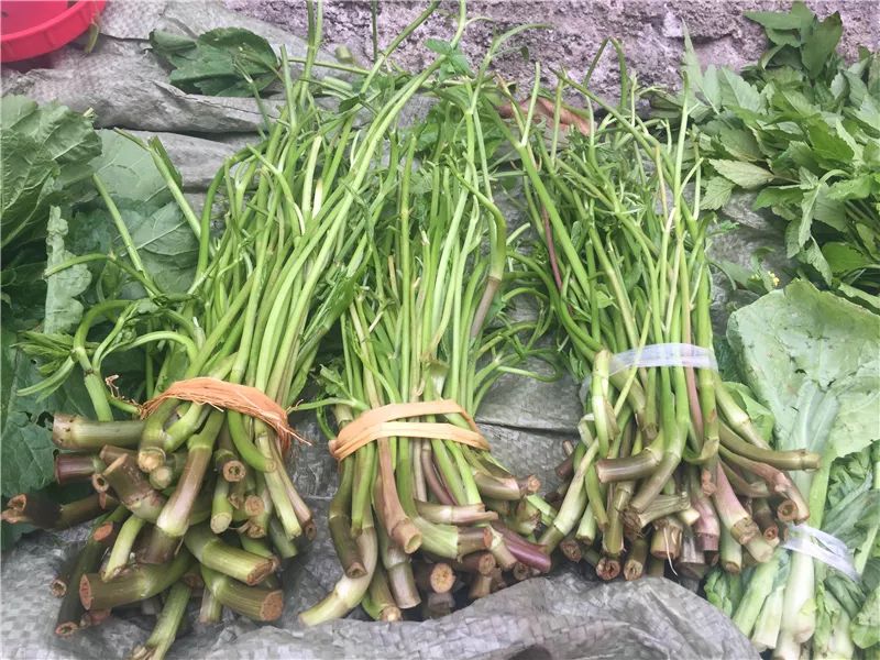 赣州不辣的辣酱,赣州不辣的菜有哪些