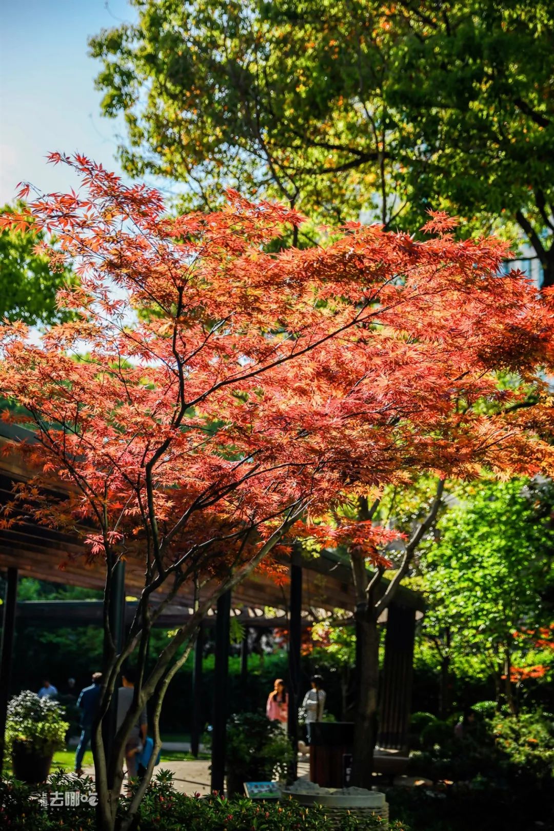 对不起，我要回黄浦了