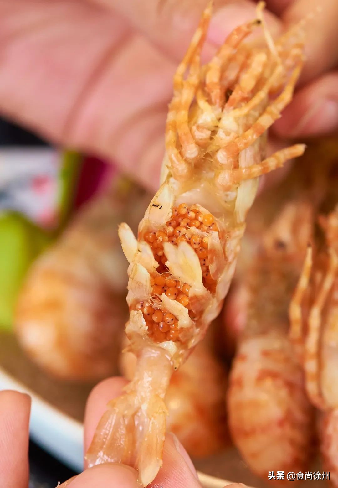 张柏芝日本游,张柏芝日本旅游