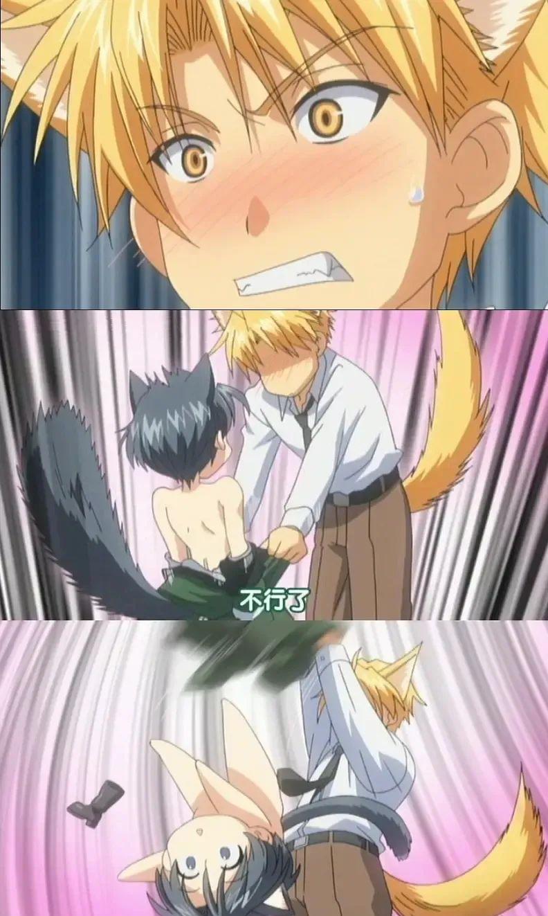 看了二十遍的腐影，这才叫真正的傲娇受与忠犬攻吧
