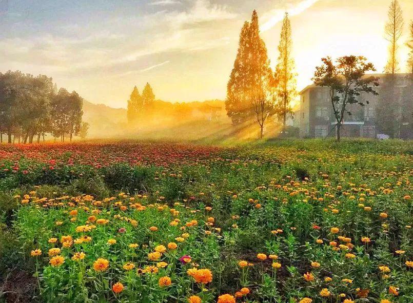 一场穿越千年的汉服旅游,五一旅行指南梦回大唐汉服