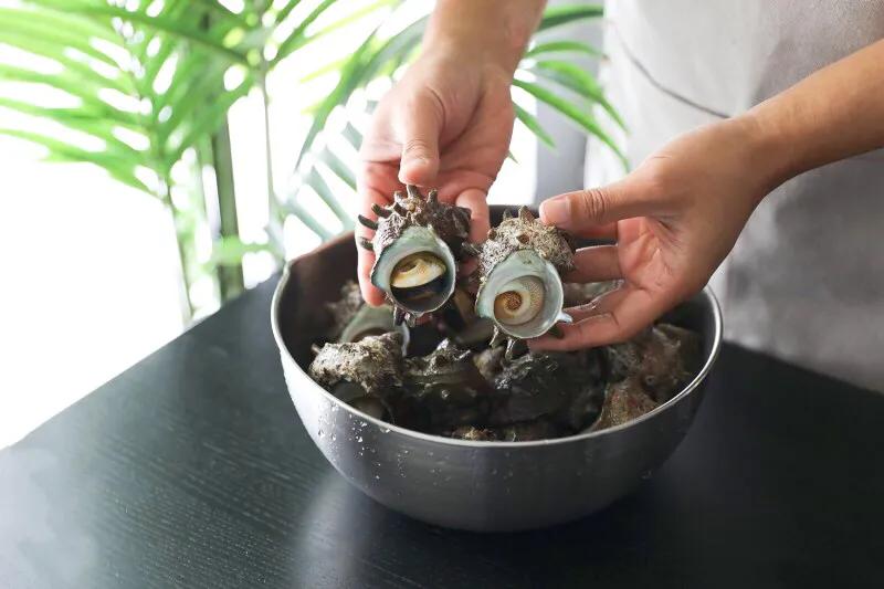 海螺吃多有副作用吗,海螺低脂高蛋白