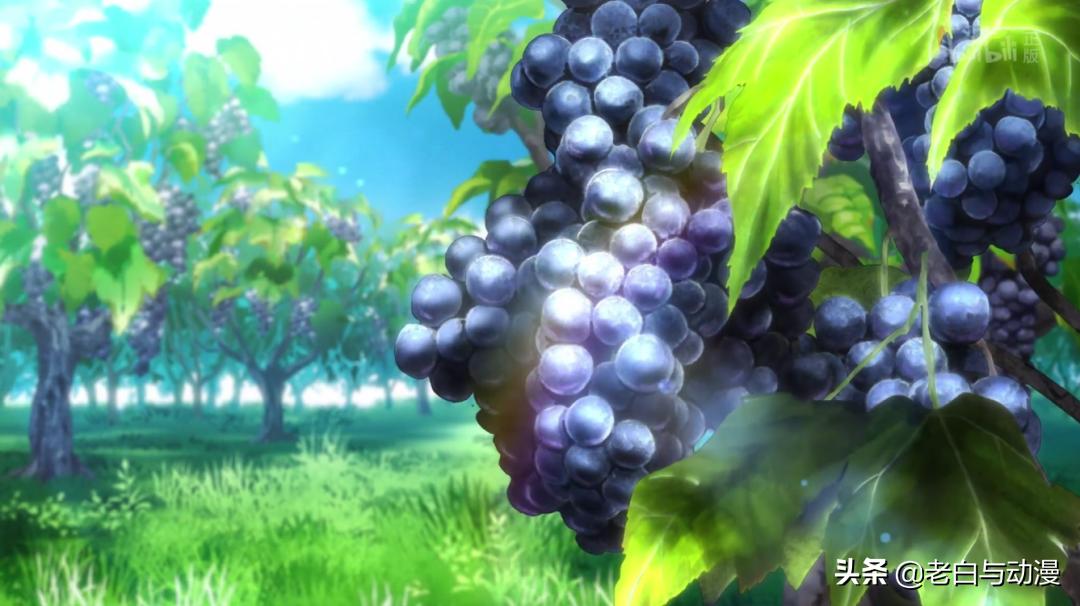 魔女之旅伊蕾娜被吐槽身材,魔女之旅伊蕾娜各种时期的图