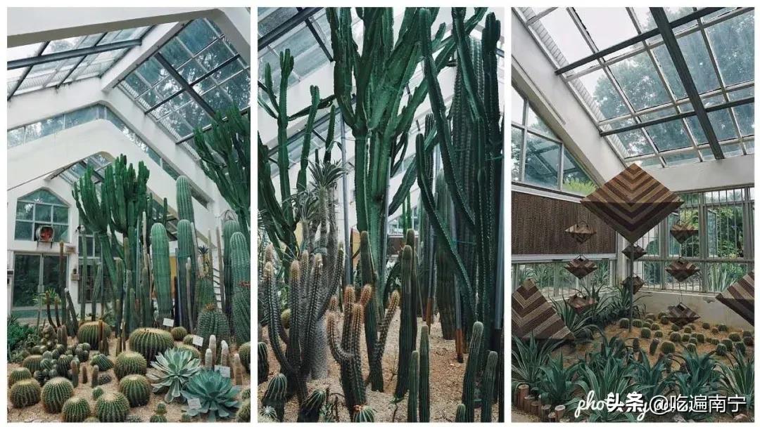 南宁拍照打卡地推荐美拉德,南宁汉华右江院子网红打卡地