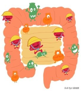 肠道产气过多吃什么中成药,肠道产气细菌多吃什么药